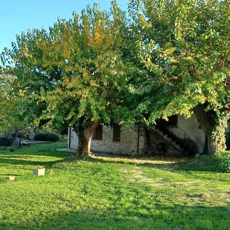 Agriturismo Canonici Amelia Zewnętrze zdjęcie