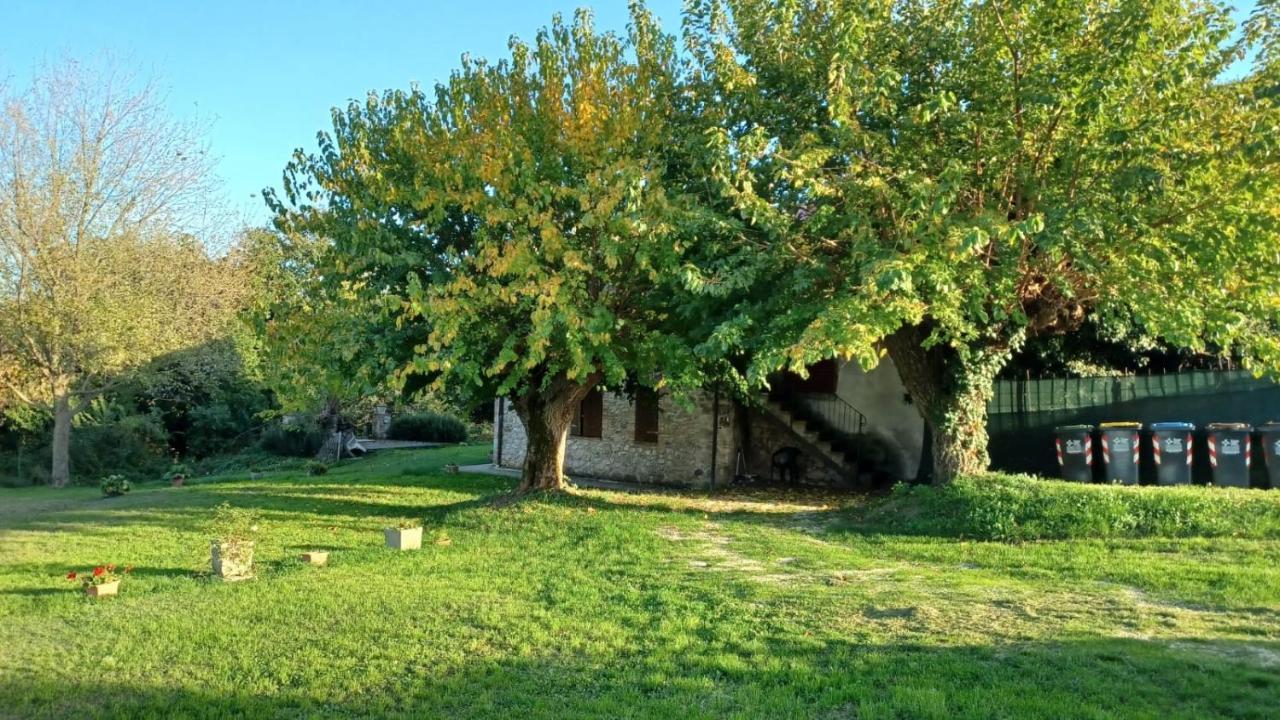 Agriturismo Canonici Amelia Zewnętrze zdjęcie